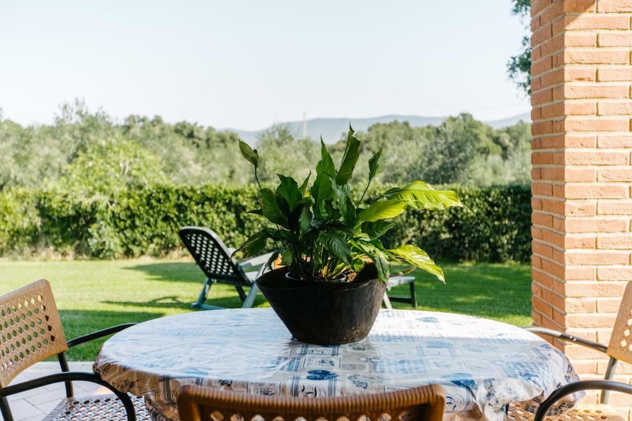 Agriturismo Casa Andreina Castiglione della Pescaia Buitenkant foto