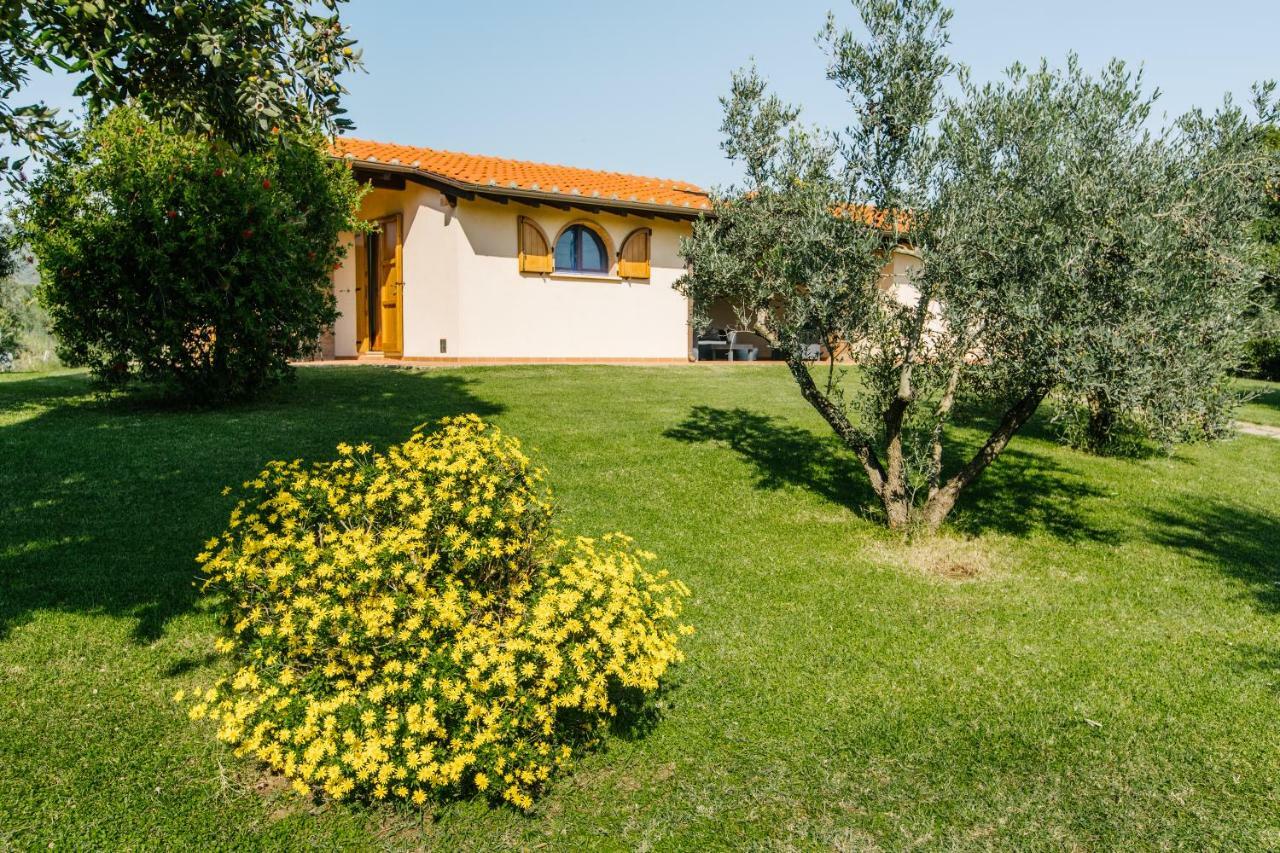 Agriturismo Casa Andreina Castiglione della Pescaia Buitenkant foto